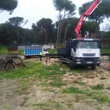 Tala y poda en altura en Aranjuez, Madrid Podadores y taladores de árboles en Aranjuez, Madrid