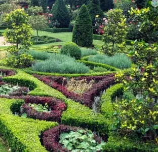 Jardines Saludables: Soluciones de Riego Inteligente Soluciones de Riego Inteligente